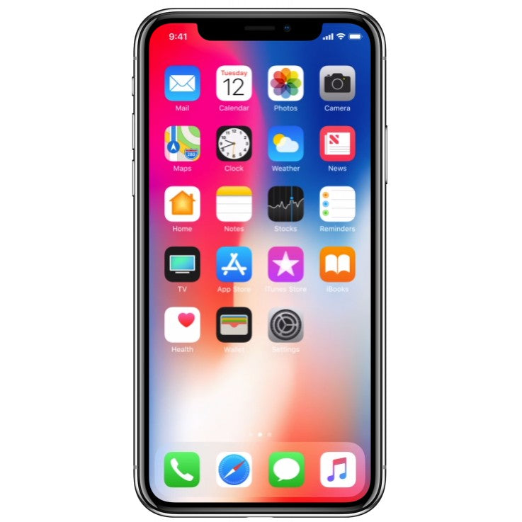Apple iPhone X